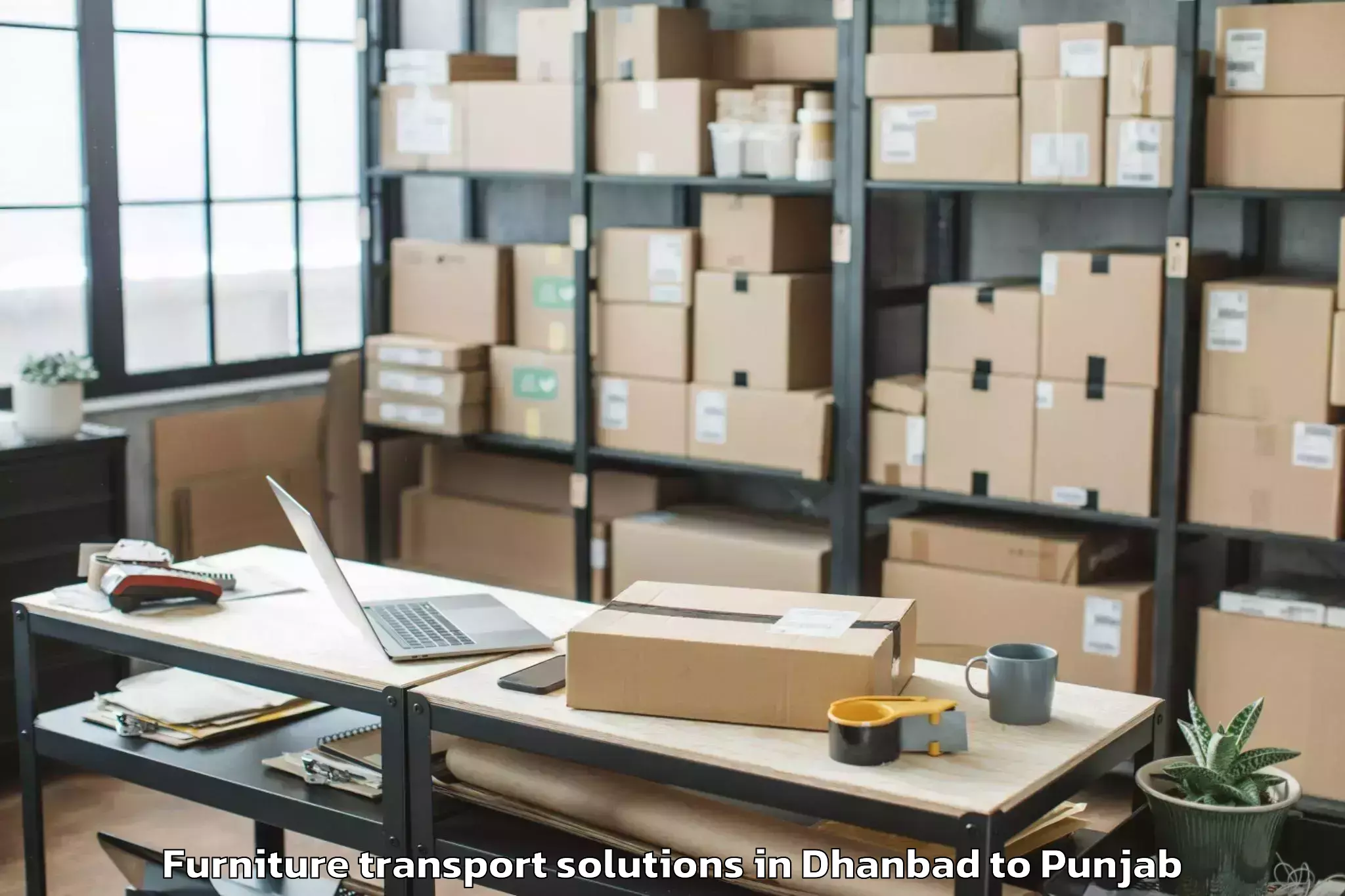 Trusted Dhanbad to Rajpura Furniture Transport Solutions